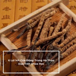 DONG TRUNG HA THAO CO TAC DUNG NHU THE NAO VOI NGUOI MAT NGU 13